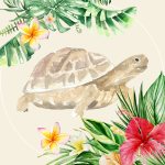 Profile photo of ryugu_bus