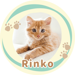 Profile photo of rinko2