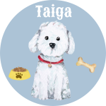 Profile photo of taiga