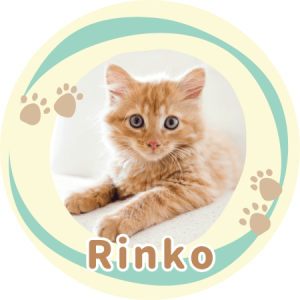 Profile photo of rinkochi